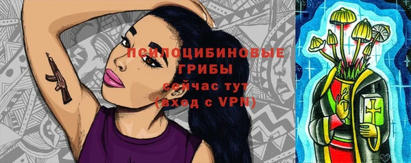 mdpv Володарск