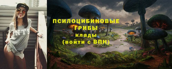 прущие грибы Бронницы