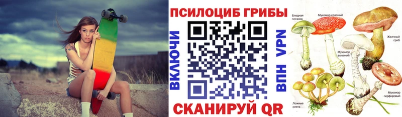 Галлюциногенные грибы Psilocybine cubensis  Зерноград 