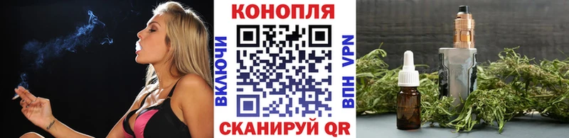 купить  цена  Зерноград  hydra онион  Бошки Шишки сатива 